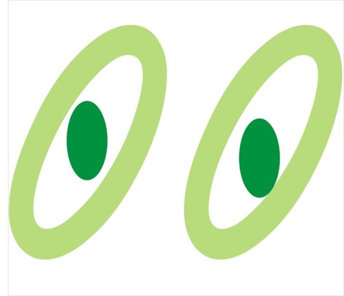 We strive to provide you with a very unique product that will turn you into a spokesperson of the green initiative.