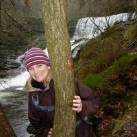 Vicki Brown (@vickibrown999) 's Twitter Profile