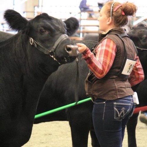 Just a simple country girl! Livin for Jesus and lovin my cows!