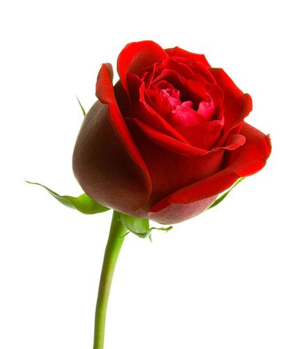 https://t.co/WcU6llzMbD hello ever one , nice to meet you all hope to make a good friends thank you .