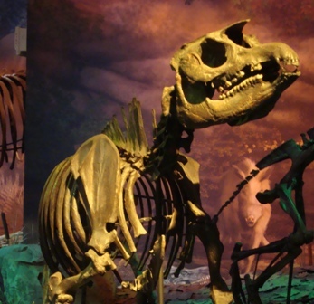 Gray Fossil Site & Museumさんのプロフィール画像