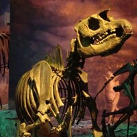 Gray Fossil Site & Museum (@grayfossilsite) Twitter profile photo