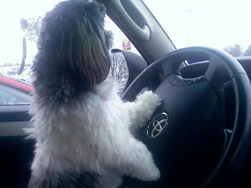 BeccaMorr's profile picture. 