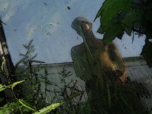 danmillerdan's profile picture. 