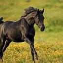 Carolyn MacDonald - @AnnaFortuna - Twitter