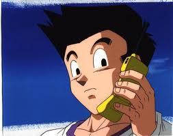 my name is goten rise on earth im a saiyan
gohan and xicor is my brother.what more to say
and @trunks3600 is my best friend
goku my dad