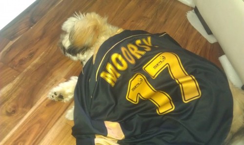 Moorsy72's profile picture. Its a big bad world