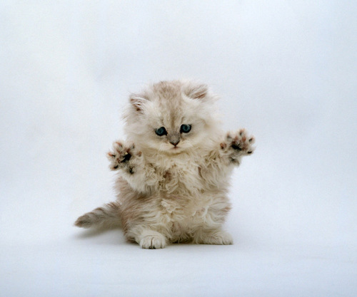 tellmeeewhy's profile picture. 