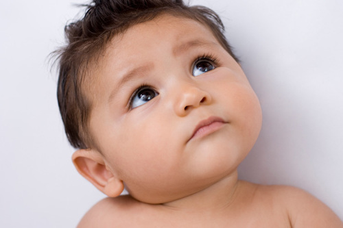 New Born Son of @Seneca_PNC and @SylvieCranePNC.