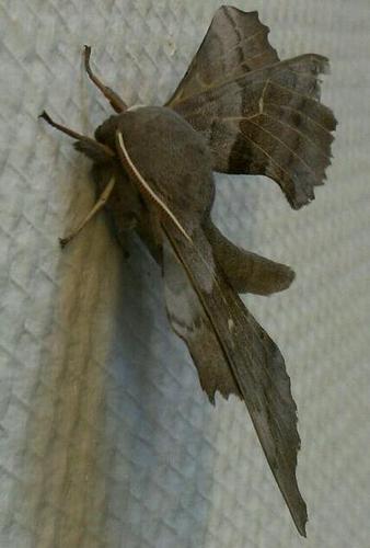 RientsdeVries's profile picture. 