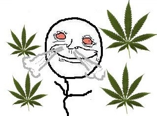 maconhanews_ Profile Picture