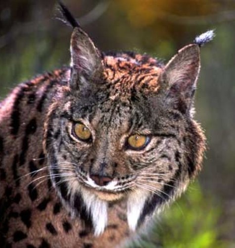 groaal's profile picture. 