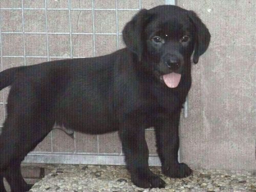 mies2410v's profile picture. 