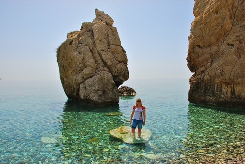 CsapAndrea1's profile picture. 