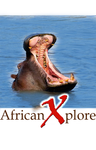 XploreAfrica's profile picture. Travel Africa » Adventure at it's best !!!