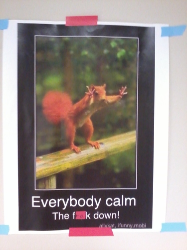 plowboy25127's profile picture. 