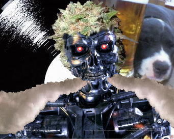 Tomáš Čech Profile