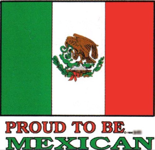 Mex_Problems's profile picture. direct message me any mexican problems and i'll tweet them!