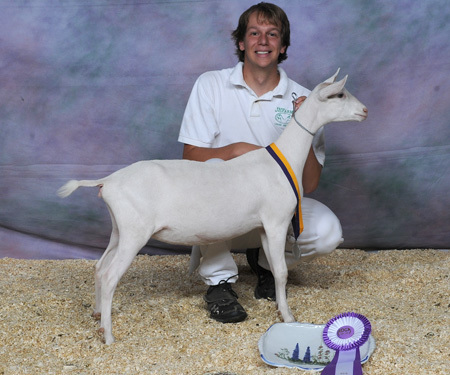GoatShepherd's profile picture. Dogtor 🐕🐦🐑🐐🐄🐕 

Ross University School of Veterinary Medicine 2019
Love animals big and small!

Insta: dr.goat_shepherd