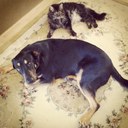 Kim Tolley - @tolleybateman1 - Twitter