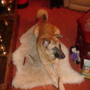 carl kaiser - @carlkaiser2 - Twitter