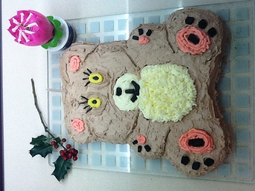 ascotflyingkiwi's profile picture. 