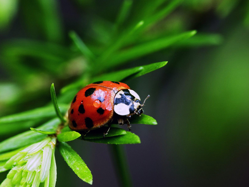 Knitnat's profile picture. Knitter....Coffee Lover....Entrepreneur...KnitNatsKnitWear on Etsy...natbug on Ravelry