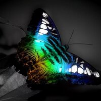 @chrisvizcaino# (@chrisvizca) 's Twitter Profile
