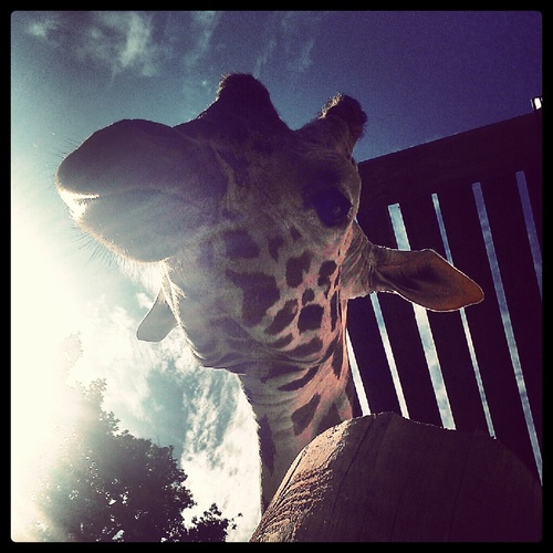 day_sean's profile picture. 