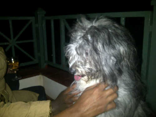 atienodero's profile picture. LLB (Hons), LLM(Dist) Dundee Uni. Human Rights and Refugee Law enthusiast. PhDc Aberystwyth University.