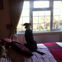 Debbie obrien - @debbieannobrien - Twitter