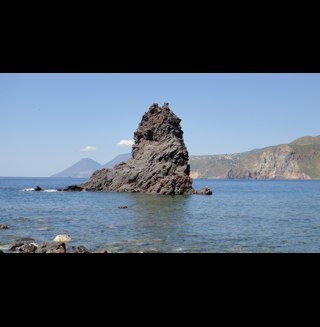 Sabbienere's profile picture. 