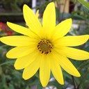 Karyn Foley - @karynfo - Twitter