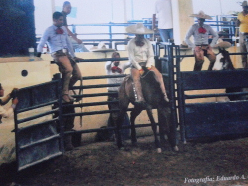 AMO  LA CHARRERIA Y LOS CABALLOS