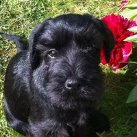 Coach Carter (@owainjohn) 's Twitter Profile