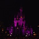 Yvette - @yvetteBurrows - Twitter