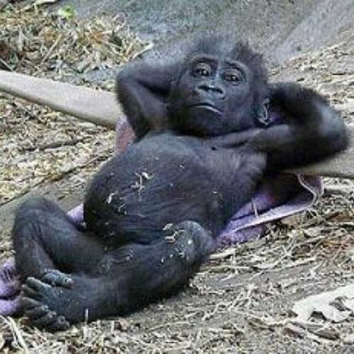 FMitEm's profile picture. 洋楽大好き！！Eminem, Kanye West , Slaughter house... I love HIPHOP....:-p