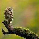 Angel Ryan Climer - @AngelRyanClimer - Twitter