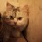 Aalaskar95's profile image