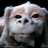 Ander_mike's profile image