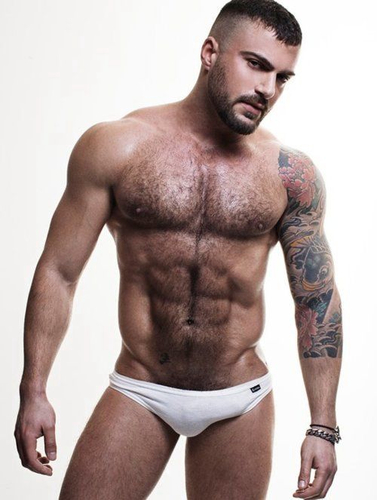 Mi crush y amor platonico es @Petesaorus. Siganlo.