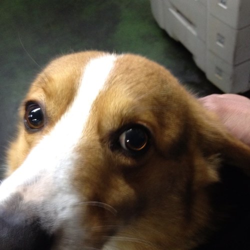 noel50005's profile picture. 福岡県在住