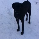 clement caron - @clementcaron - Twitter