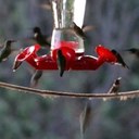 Mona Bishop - @MonaDuvalBishop - Twitter