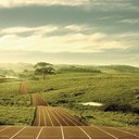 Ben Eckels - @BenEckels - Twitter