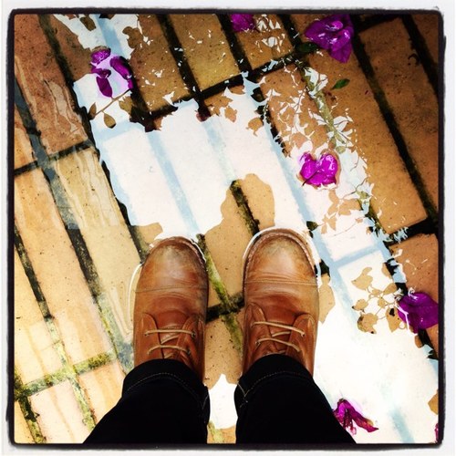 ferraro_camila's profile picture. 