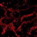 Kameron Cooper - @Deizel27 - Twitter