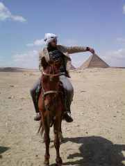 kareemsamy5's profile picture. 