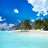 bulan bilong ⌘'s Twitter (X) avatar
