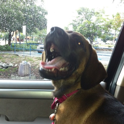 RichardRahall's profile picture. 